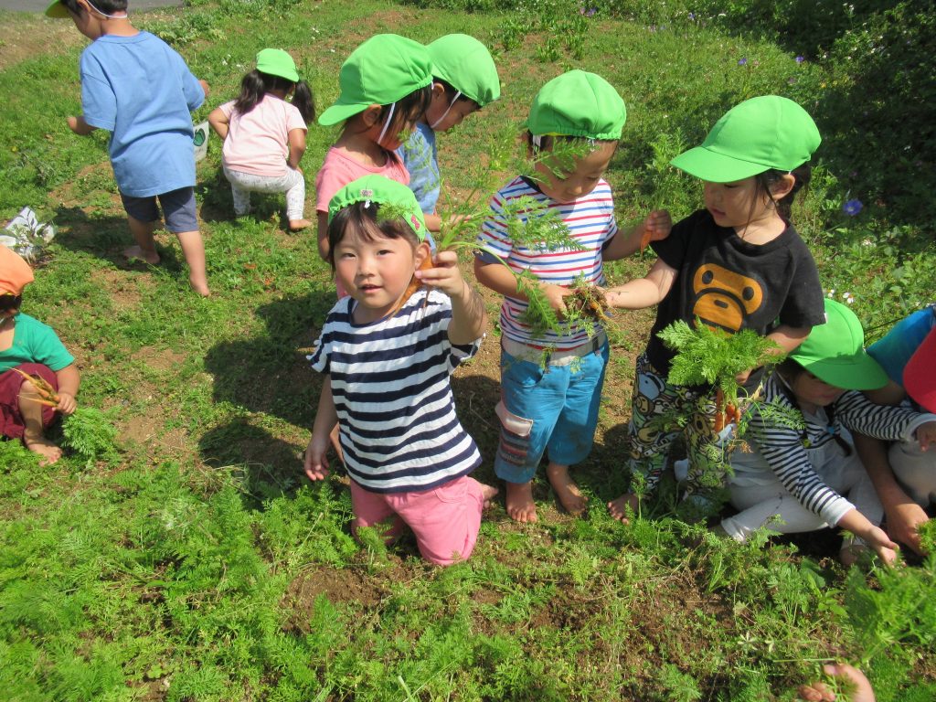 野菜を収穫し喜ぶ園児